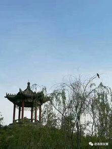 赵县爆料最新,揭秘当地最新热点事件！  第3张